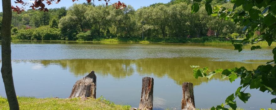 Grand Coteau Park