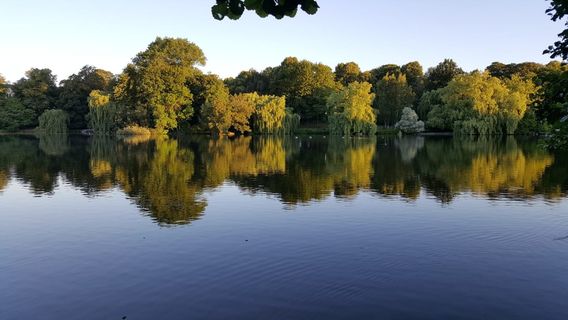 Парк Шревен