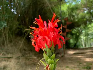 La Flora Ecological Park