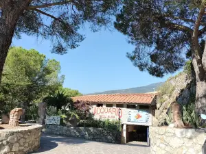 Acquario dell'Elba