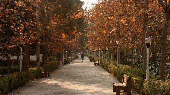 Saei Park