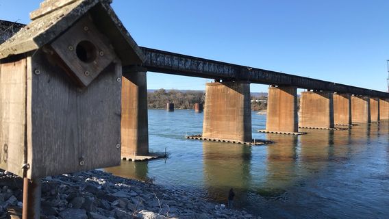 Chattanooga