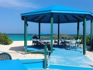 Loblolly Bay
