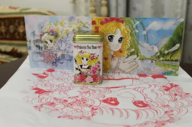 Yumiko Igarashi New Art Musuem: For Die-hard fans