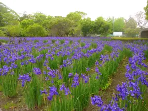 Hayamizu Park