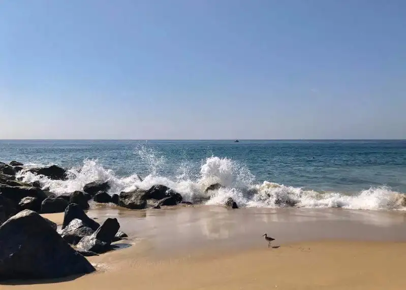 4_The Wedge