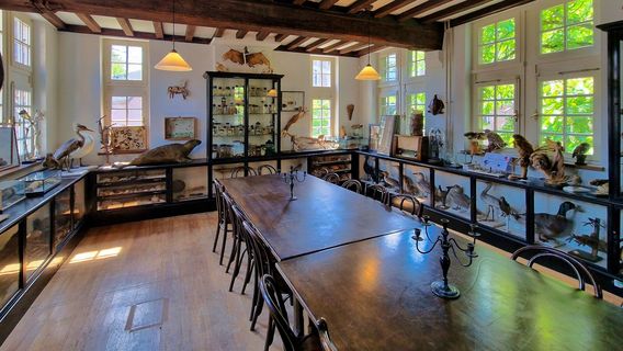 Natural History Museum of Maastricht