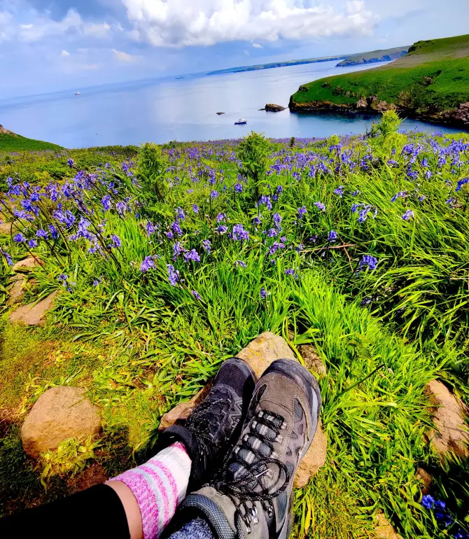 Skomer Island