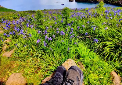 Skomer Island
