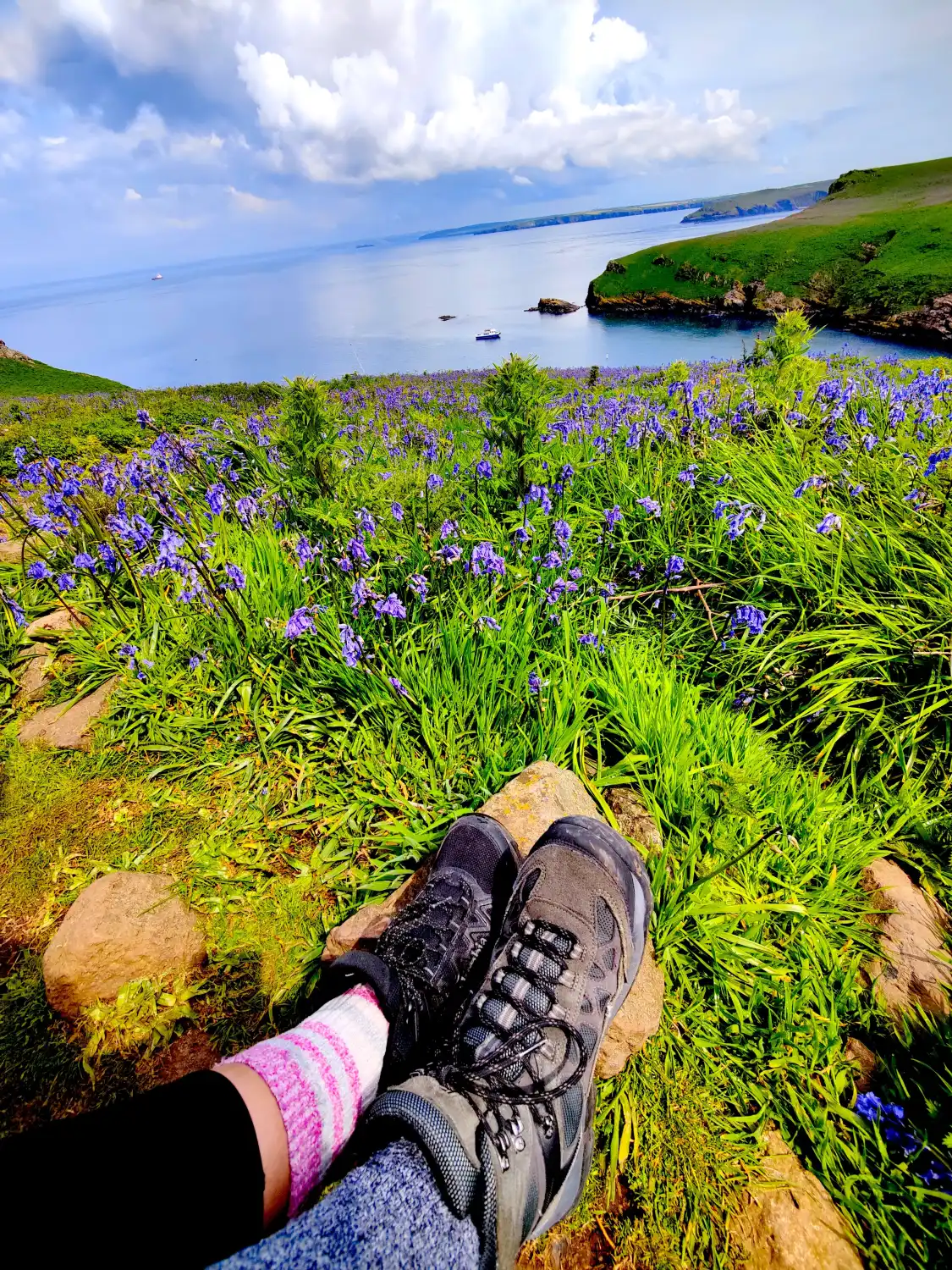Hotels near Skomer Island
