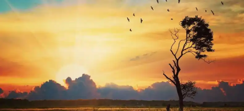 Hotels in Kent County