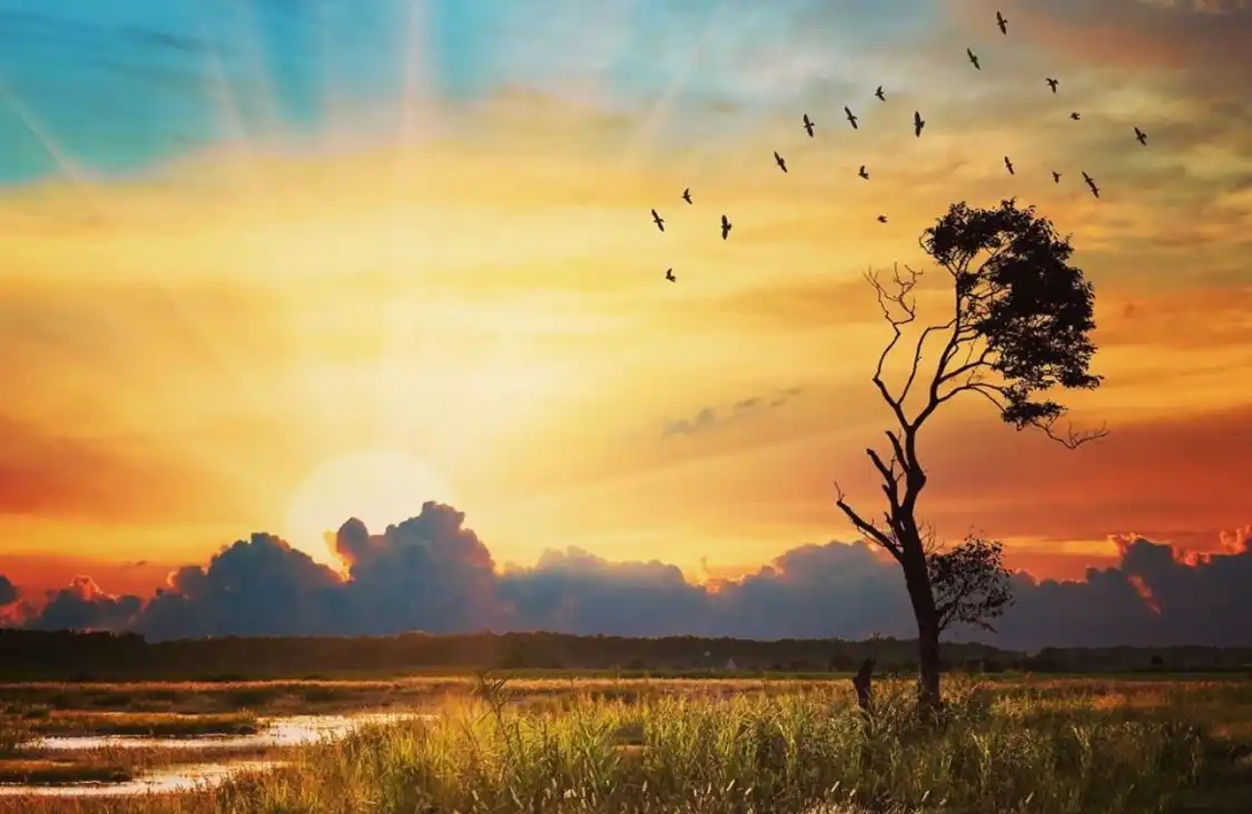 Hotels near Bombay Hook National Wildlife Refuge Visitor Center