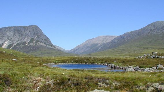 Мар Лодж Эстейт