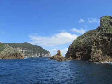 Poor Knights Island Marine Reserve