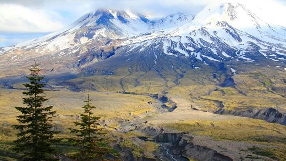 Johnston Ridge Observatory