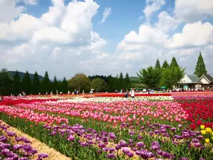 Serakogen farm