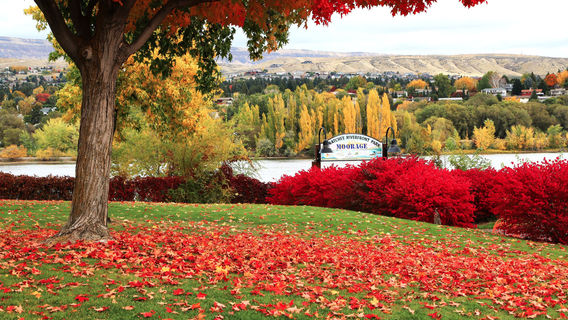 Парк Уэнатчи Риверфронт