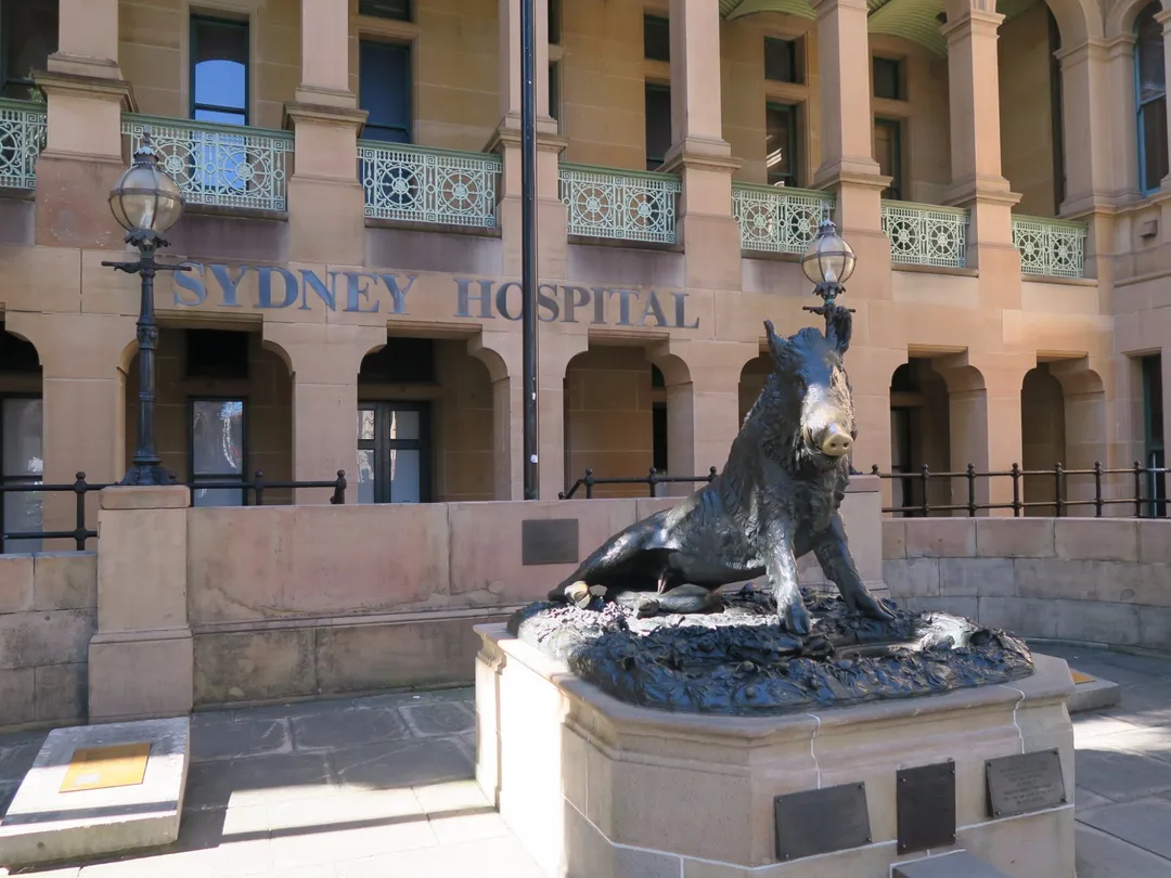 2_Sydney Hospital and Sydney Eye Hospital : Emergency Room