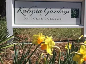 Kalmia Gardens