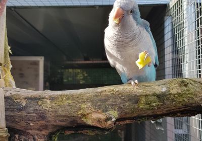 C & J's Animal Park
