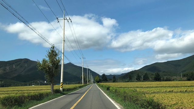 Oksanseowon Confucian Academy, Gyeongju