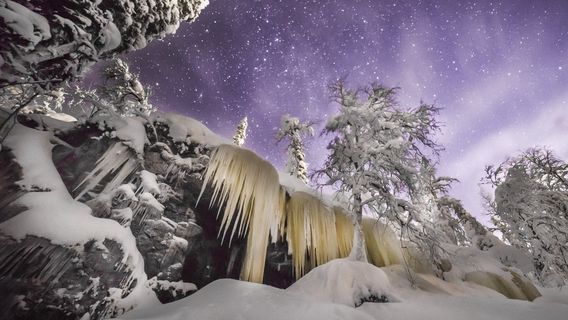 Salla Wilderness Park, Salla Reindeer Park