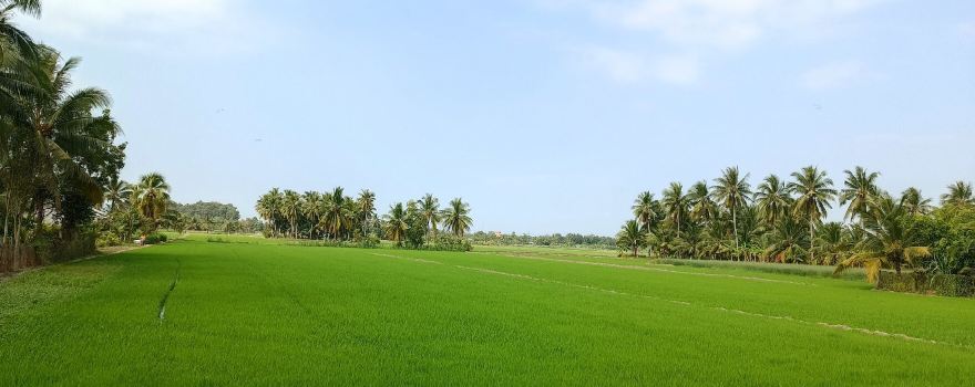 Giồng Trôm District