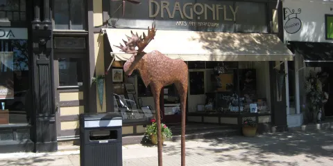 Dragonfly Arts On Broadway