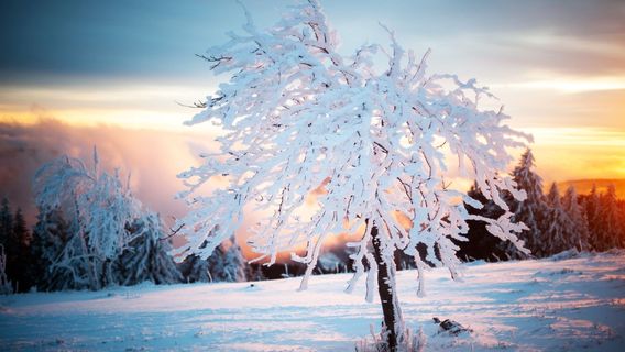Schneeschuh Akademie