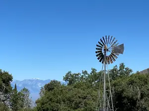 Oak Tree Mountain