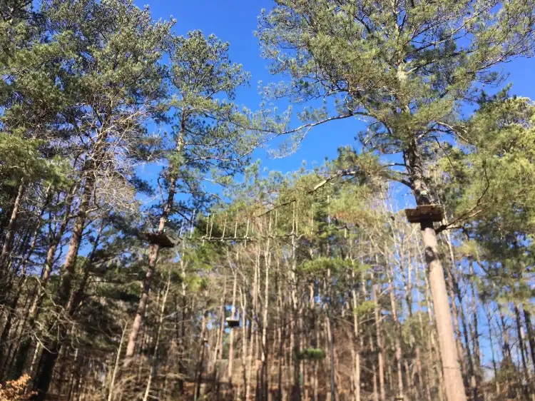 Dunwoody