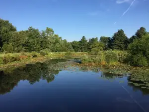 Gorman Nature Center