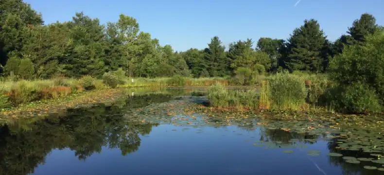 Hotels in Washington Township