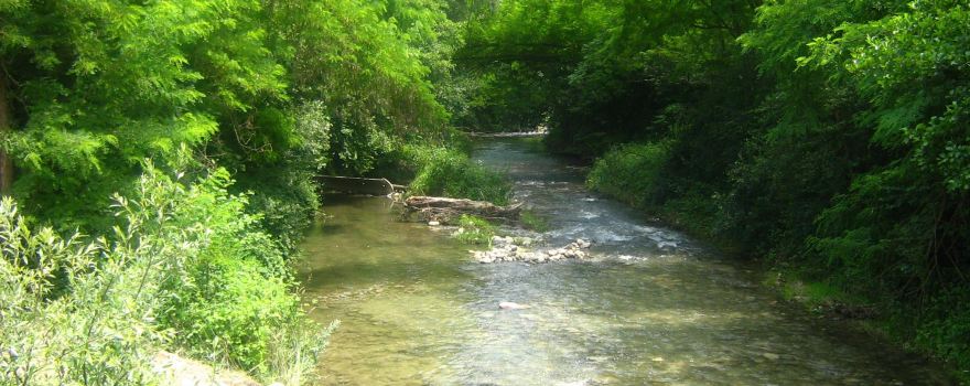 Riserva Naturale Crava Morozzo