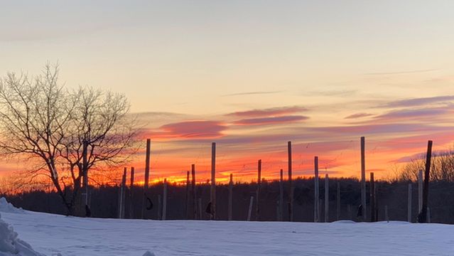 Bigelow Brewing Company