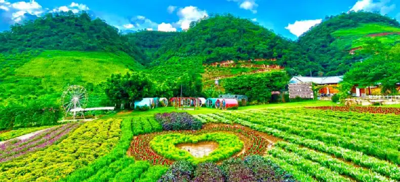 Hotels in Moc Chau District