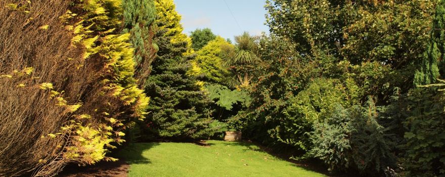 Penlan Uchaf Gardens & Tea Room