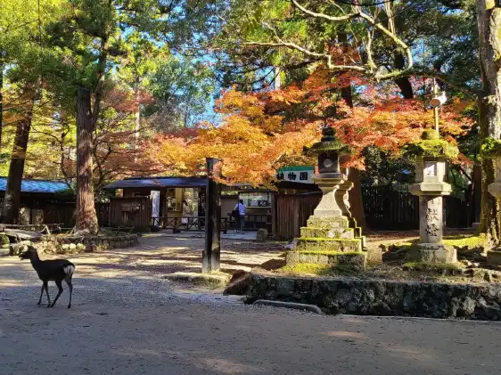 Hotels near Deer Park