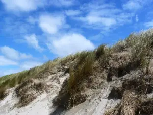 Zuydcoote Beach