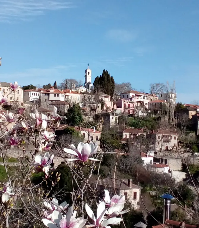 Sipiada