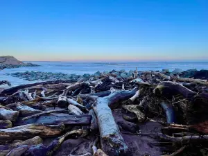 Montrose Beach