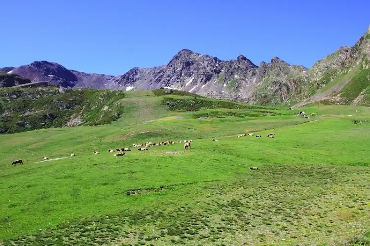Hotels near Coll d'Ordino