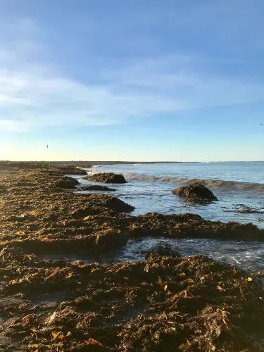 Urban Nature Reserve Punta Popper