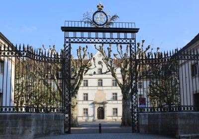 Château de Delémont
