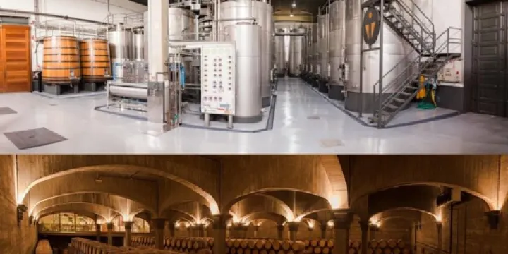 Bodegas Vina Ijalba S.A.