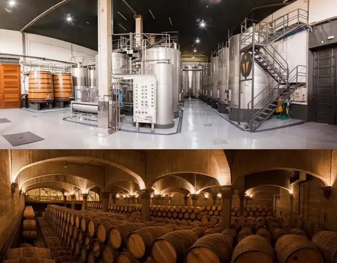 Hotels near Bodegas Vina Ijalba S.A.