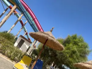 Aqua Park Pirate