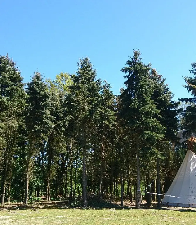Walsrode