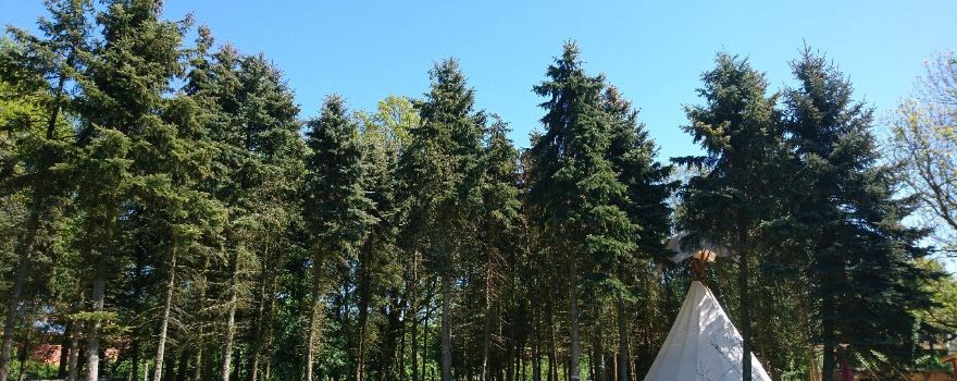 Walsrode