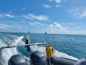 Aquaholics Barra Scuba and Activities